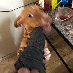 Meet your Posher, Mr